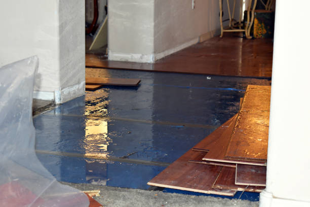 Professional Water Extraction technician working in Hilbert, WI